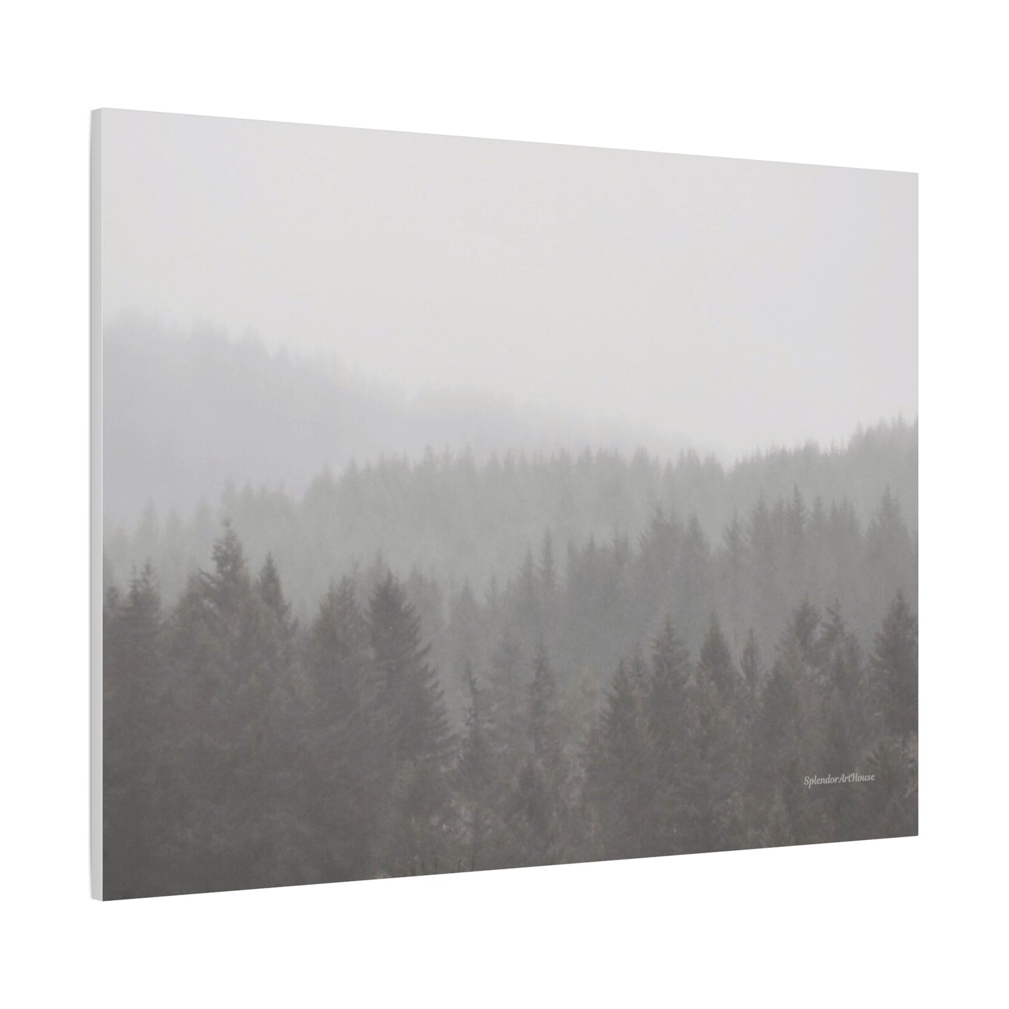 Forest, Matte Canvas, Stretched, 1.25"