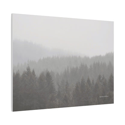 Forest, Matte Canvas, Stretched, 1.25"