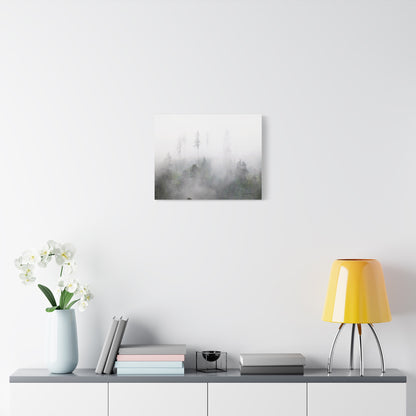 Forest, Matte Canvas, Stretched, 1.25"