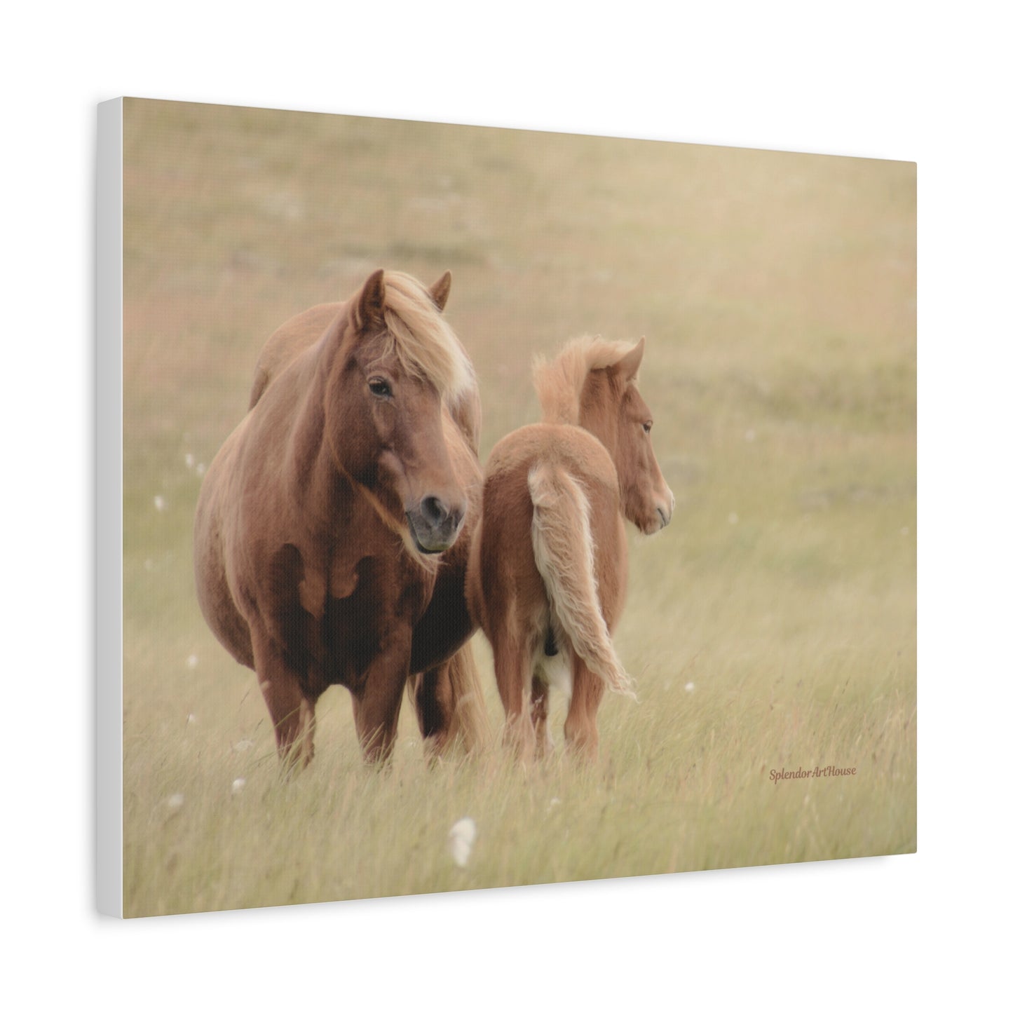 Wild Horses, Matte Canvas, Stretched, 1.25"