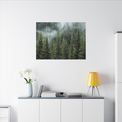 Trees, Matte Canvas, Stretched, 0.75"