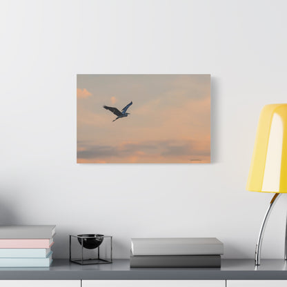 Bird, Matte Canvas, Stretched, 1.25"