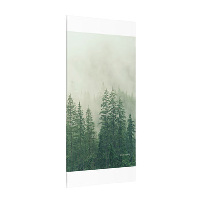 Forest Trees, Matte Canvas, Stretched, 0.75"