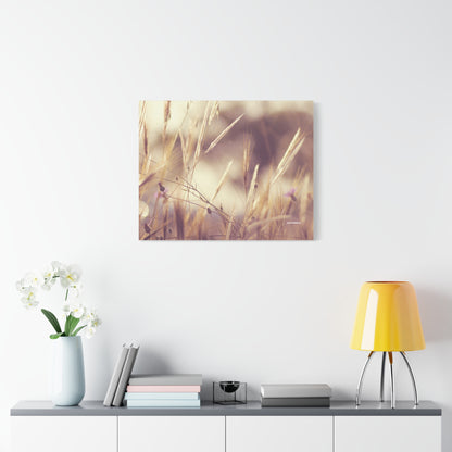 Grass, Matte Canvas, Stretched, 1.25"