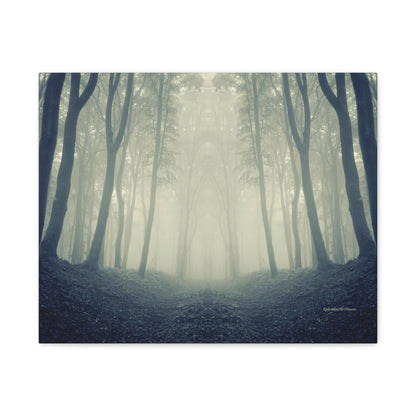 Forest, Matte Canvas, Stretched, 1.25"