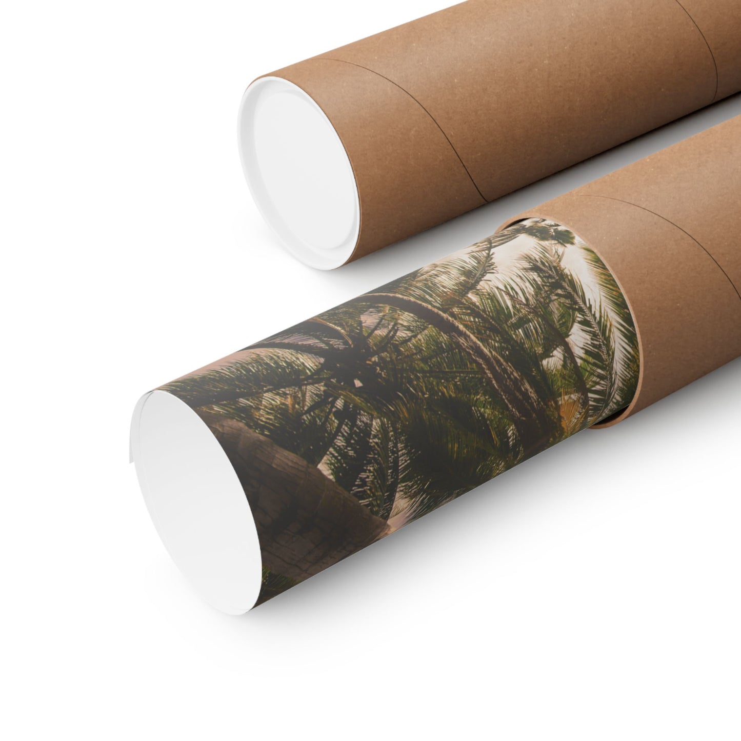 Palm Trees, Matte Horizontal Poster