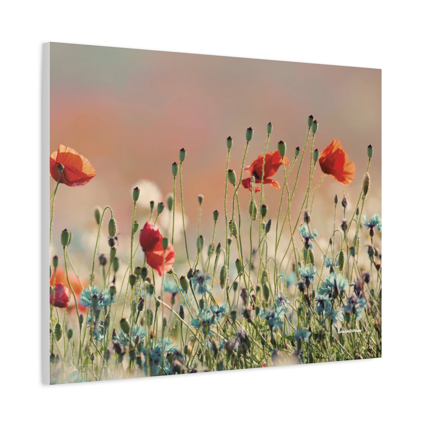 Floral, Matte Canvas, Stretched, 1.25"