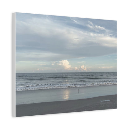 Ocean, Matte Canvas, Stretched, 1.25"