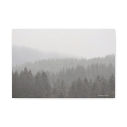 Forest, Matte Canvas, Stretched, 1.25"