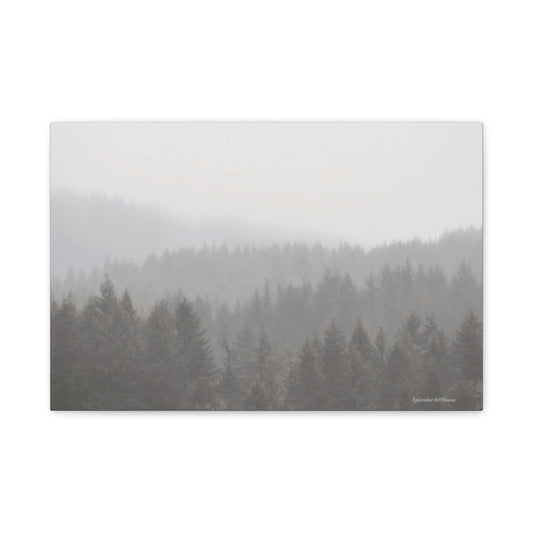 Forest, Matte Canvas, Stretched, 1.25"