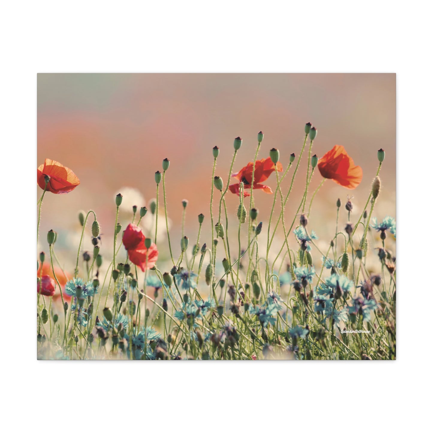Floral, Matte Canvas, Stretched, 1.25"