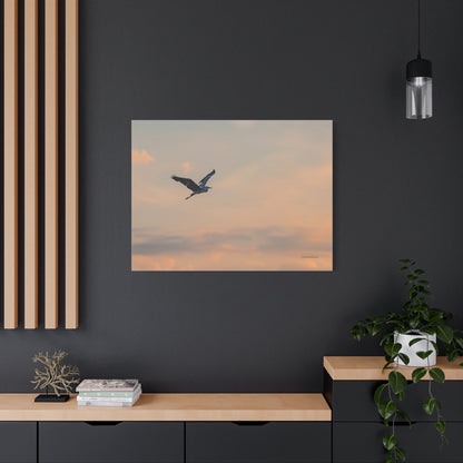 Bird, Matte Canvas, Stretched, 1.25"