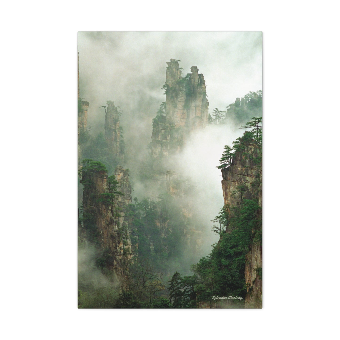 Forest, Matte Canvas, Stretched, 1.25"