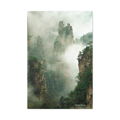 Forest, Matte Canvas, Stretched, 1.25"