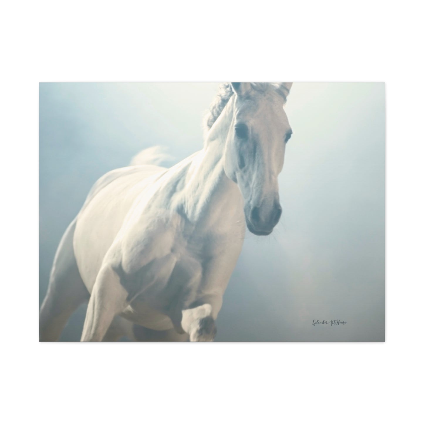 Horse, Matte Canvas, Stretched, 1.25"