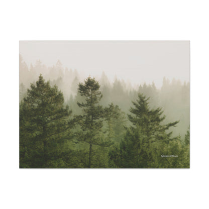 Forest, Matte Canvas, Stretched, 1.25"