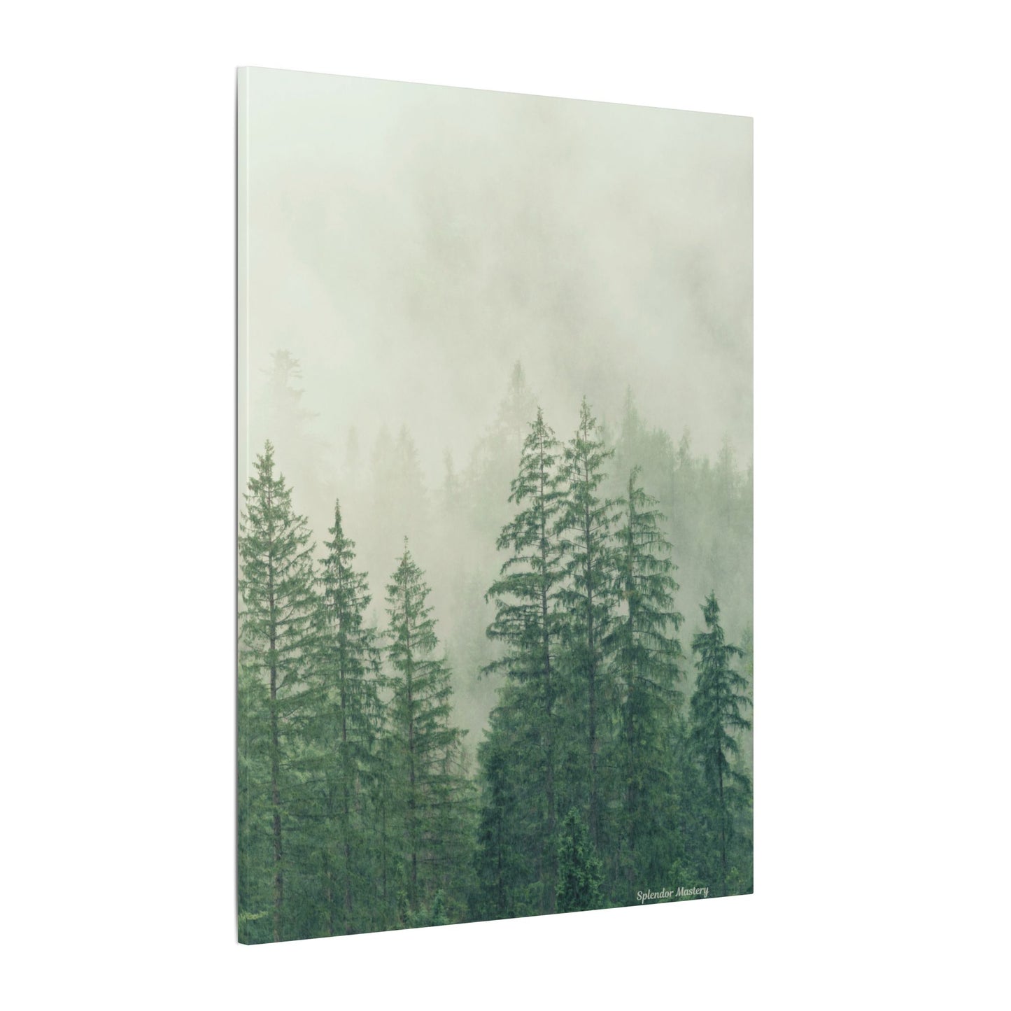 Forest Trees, Matte Canvas, Stretched, 0.75"