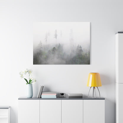 Forest, Matte Canvas, Stretched, 1.25"