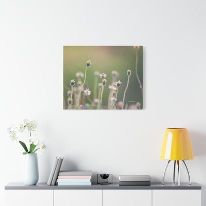 Floral, Matte Canvas, Stretched, 1.25"