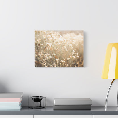 Floral, Matte Canvas, Stretched, 1.25"