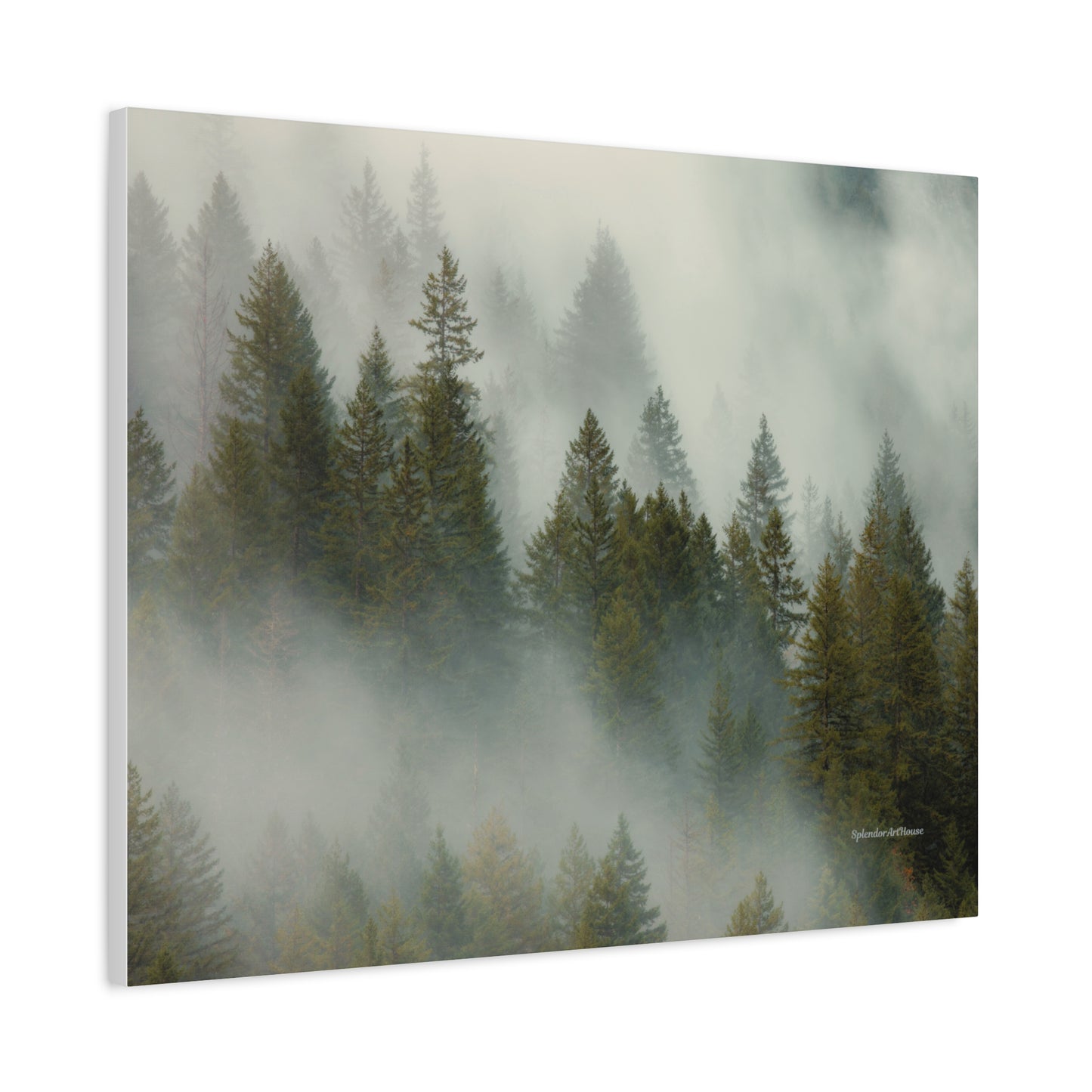 Forest, Matte Canvas, Stretched, 1.25"