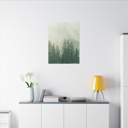 Forest Trees, Matte Canvas, Stretched, 0.75"