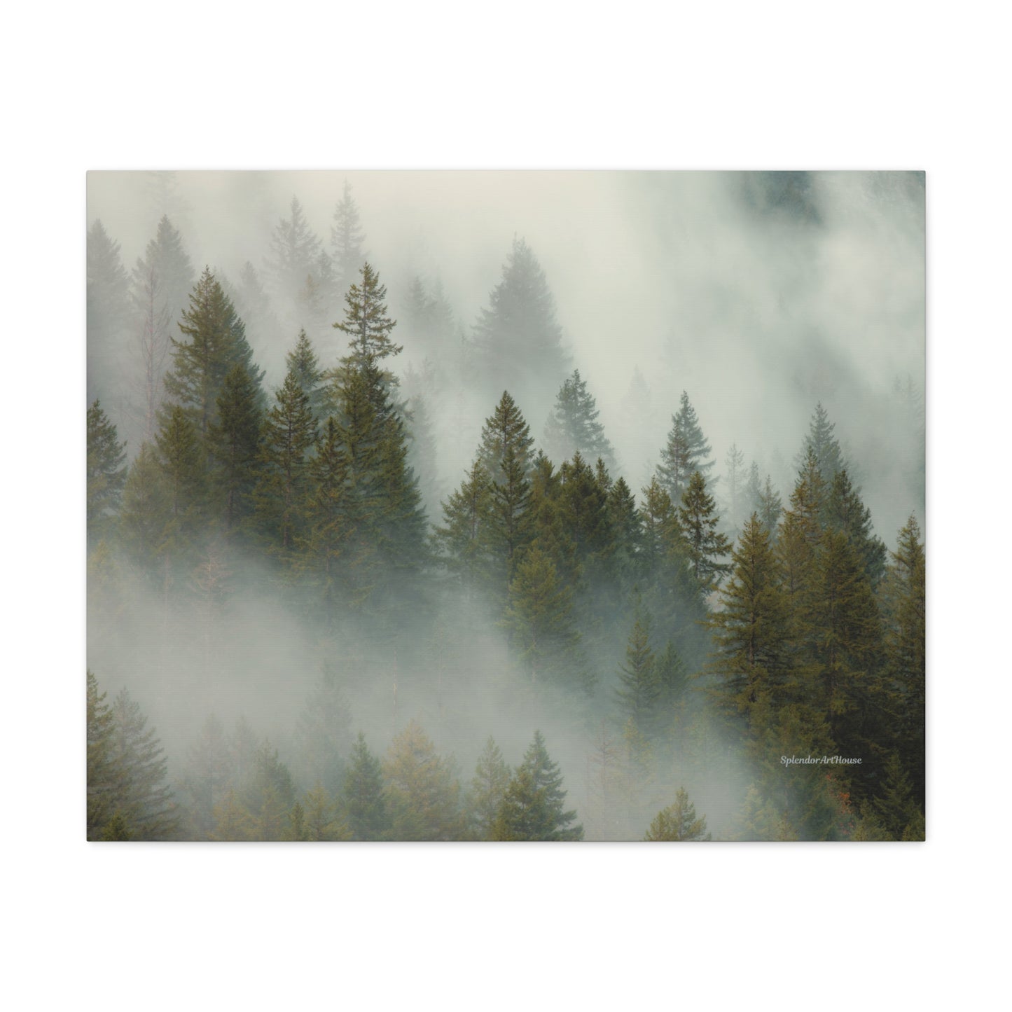 Forest, Matte Canvas, Stretched, 1.25"