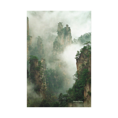 Forest, Matte Canvas, Stretched, 1.25"