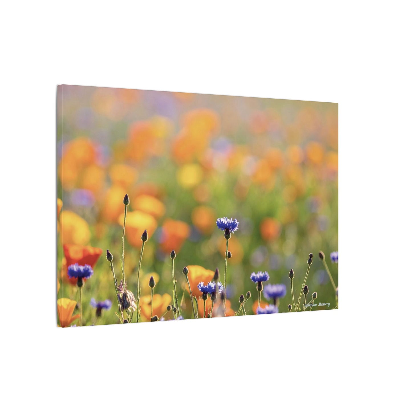 Floral, Matte Canvas, Stretched, 0.75"