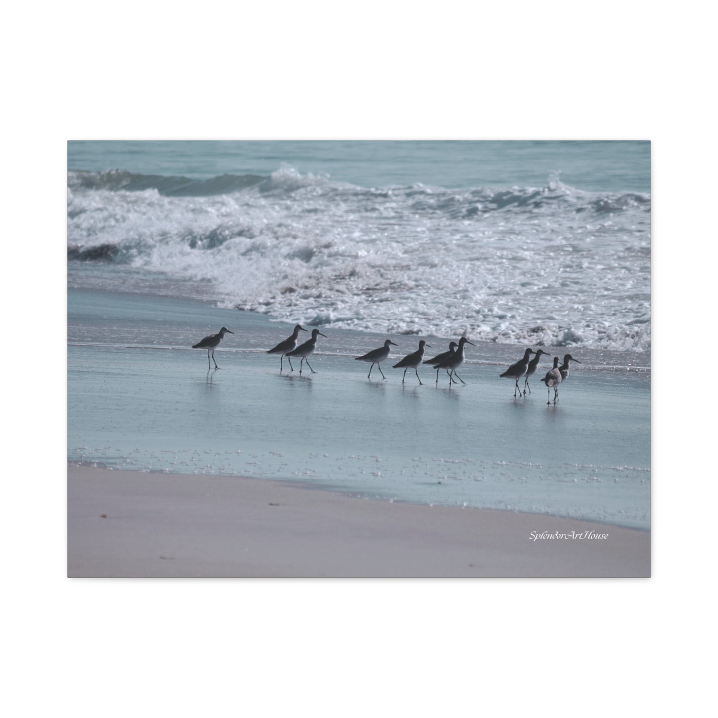 Birds, Matte Canvas, Stretched, 1.25"