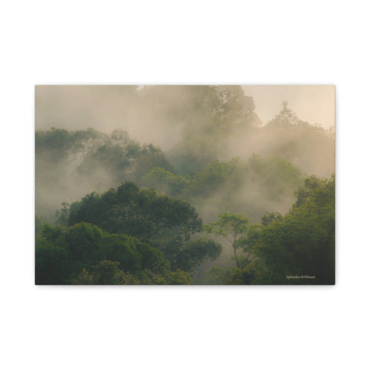 Forest, Matte Canvas, Stretched, 1.25"