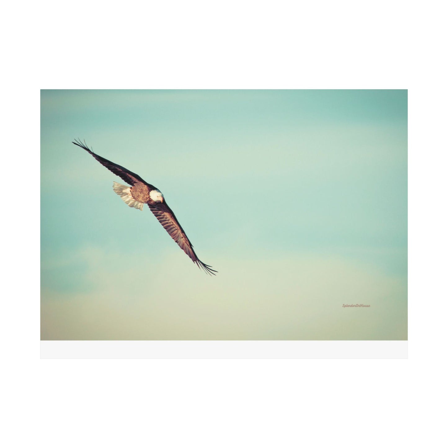 Bird, Matte Horizontal Poster