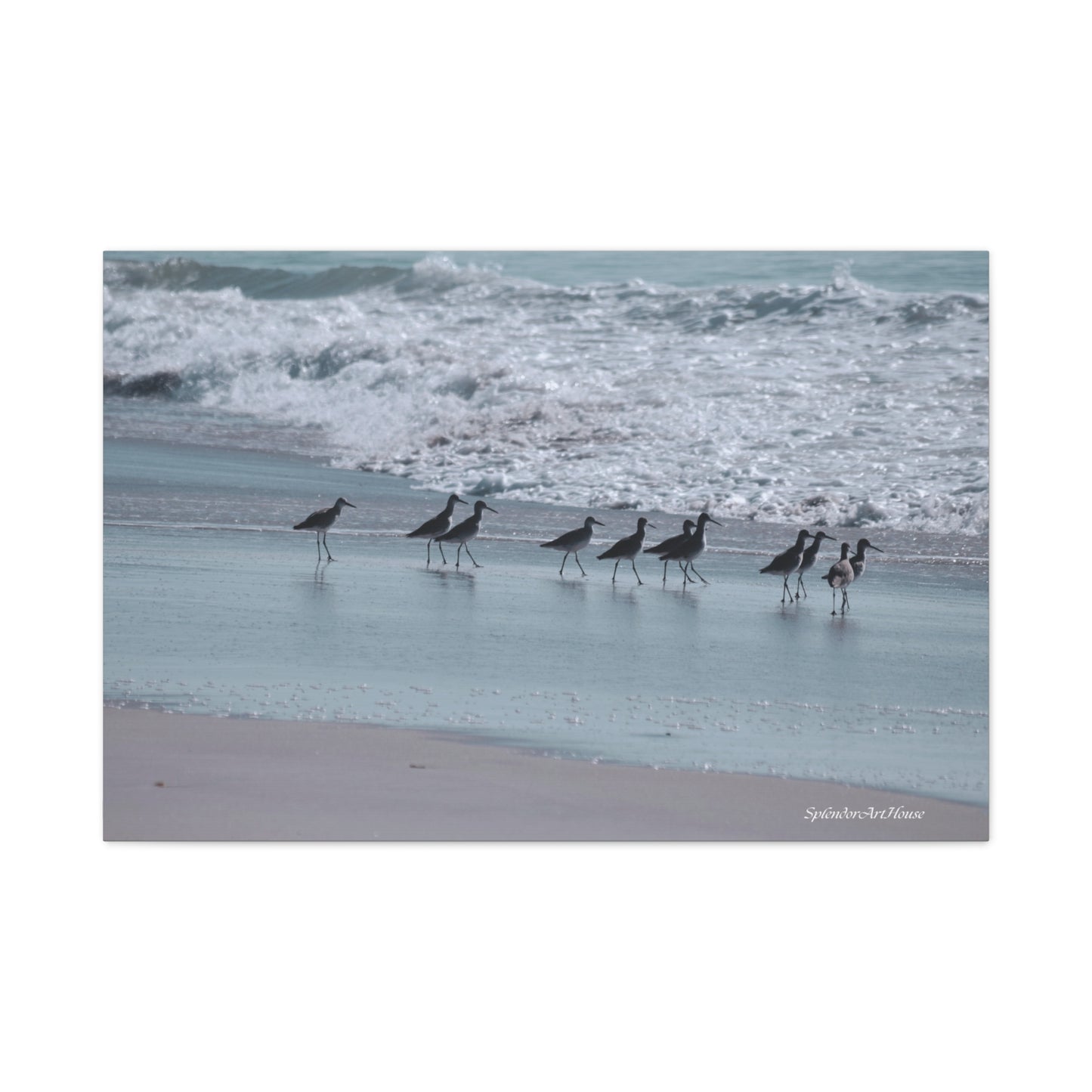 Birds, Matte Canvas, Stretched, 1.25"