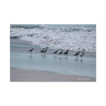 Birds, Matte Canvas, Stretched, 1.25"