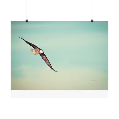 Bird, Matte Horizontal Poster