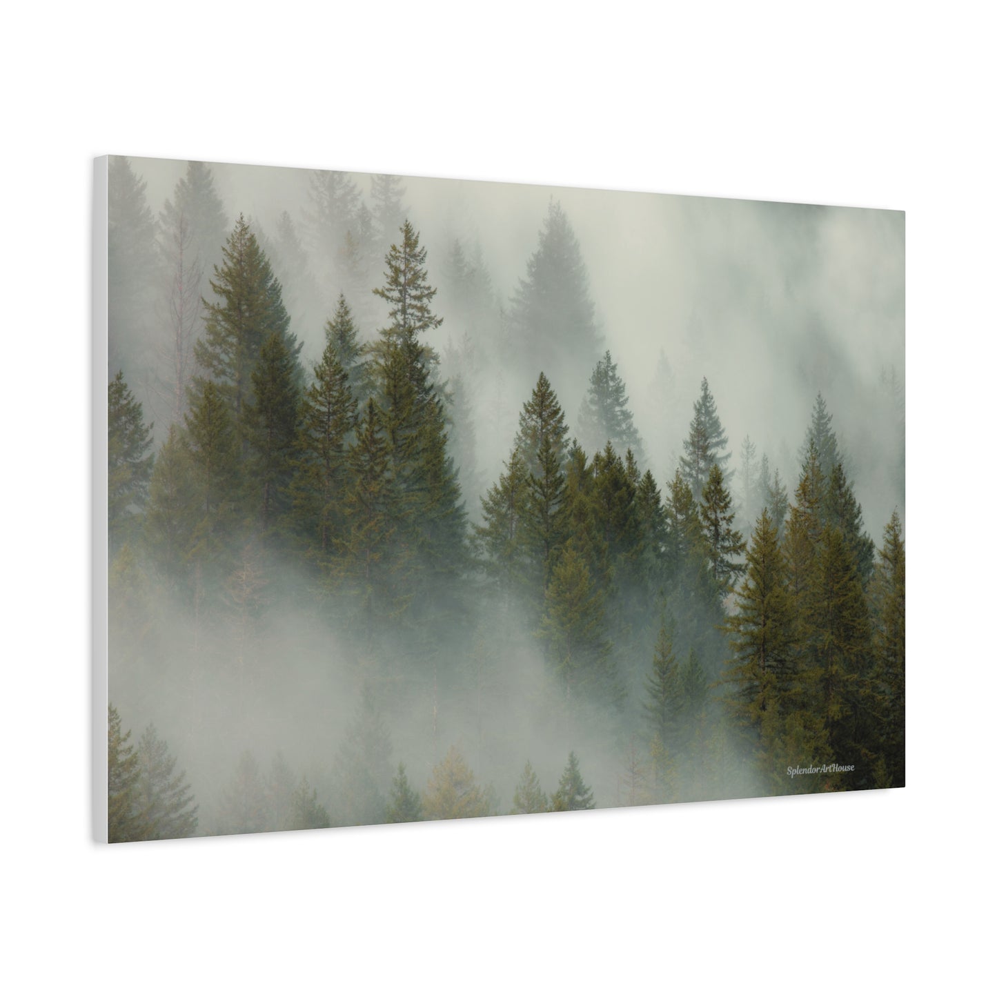 Forest, Matte Canvas, Stretched, 1.25"