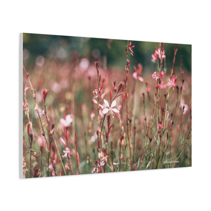Floral, Matte Canvas, Stretched, 1.25"