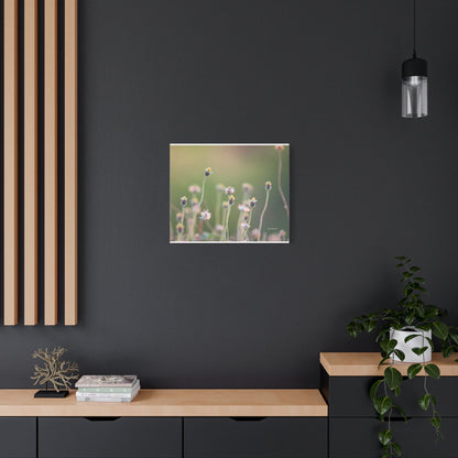 Floral, Matte Canvas, Stretched, 1.25"
