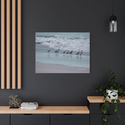 Birds, Matte Canvas, Stretched, 1.25"