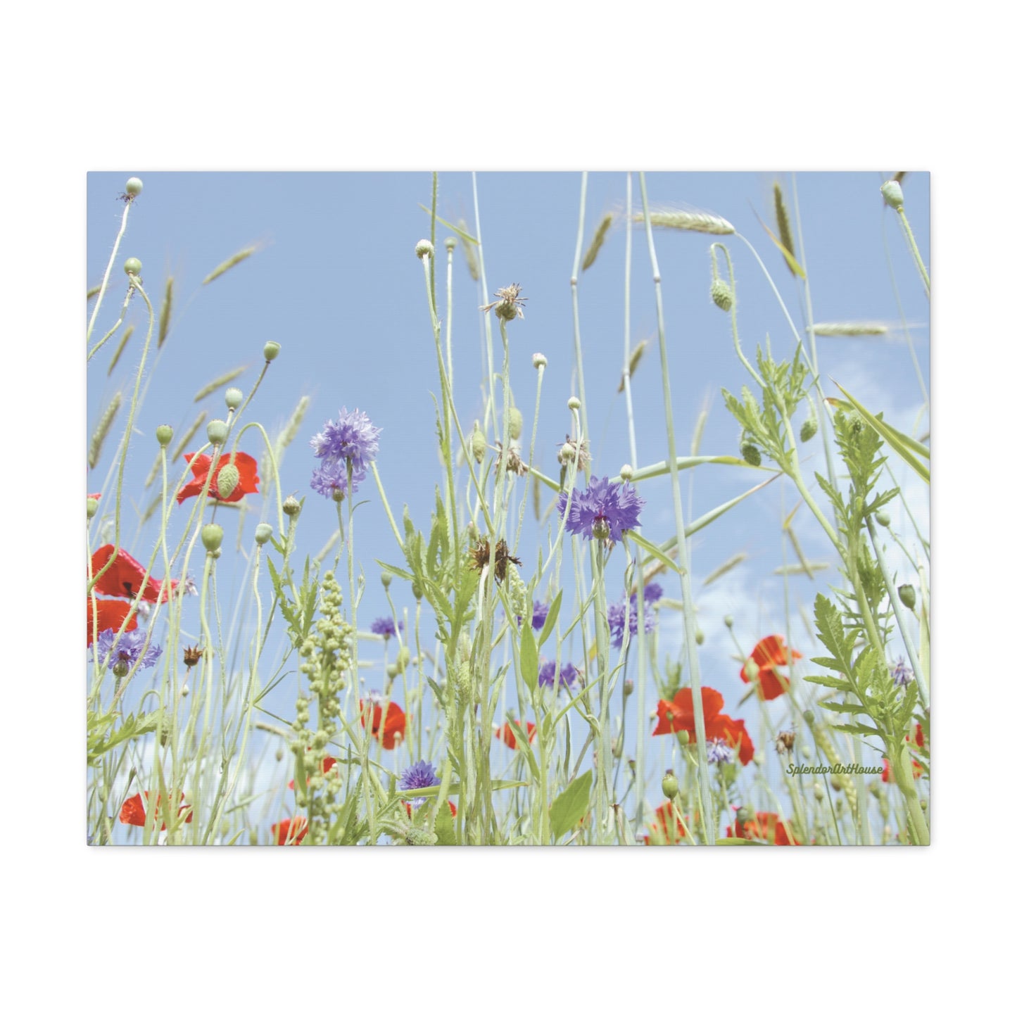 Floral, Matte Canvas, Stretched, 1.25"
