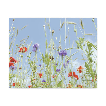 Floral, Matte Canvas, Stretched, 1.25"