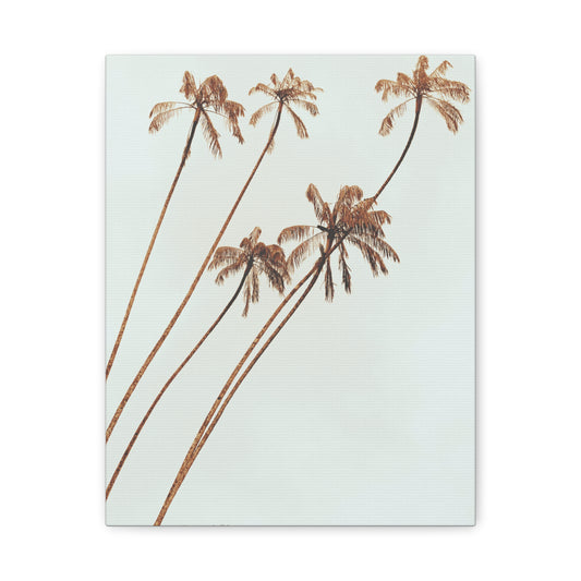 Palm Tree, Matte Canvas, Stretched, 1.25"