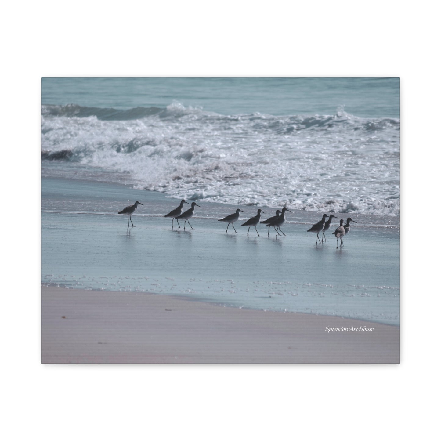 Birds, Matte Canvas, Stretched, 1.25"