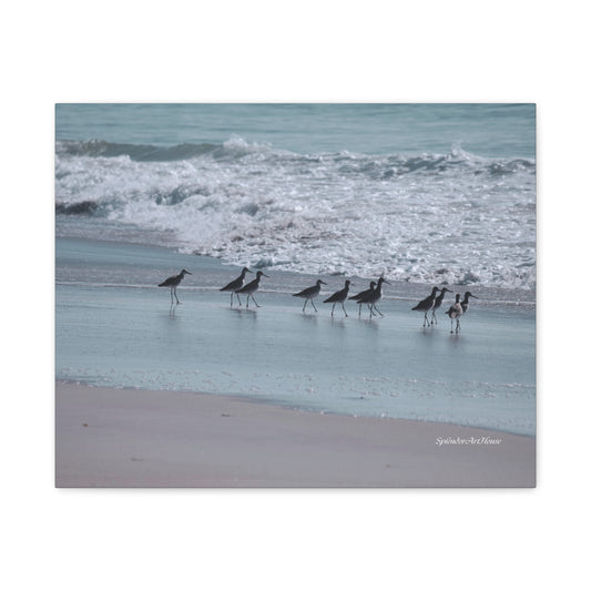 Birds, Matte Canvas, Stretched, 1.25"