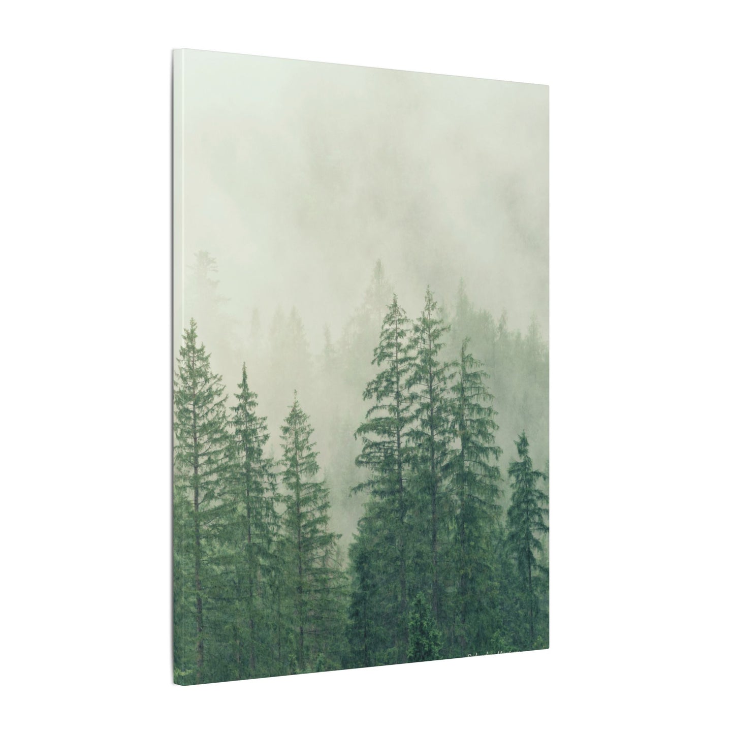 Forest Trees, Matte Canvas, Stretched, 0.75"