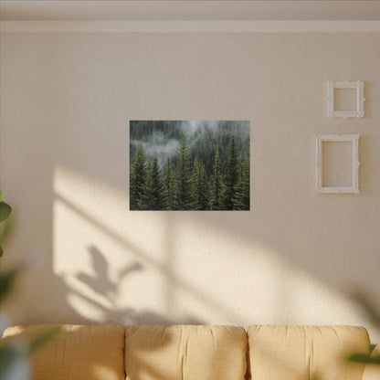 Trees, Matte Canvas, Stretched, 0.75"