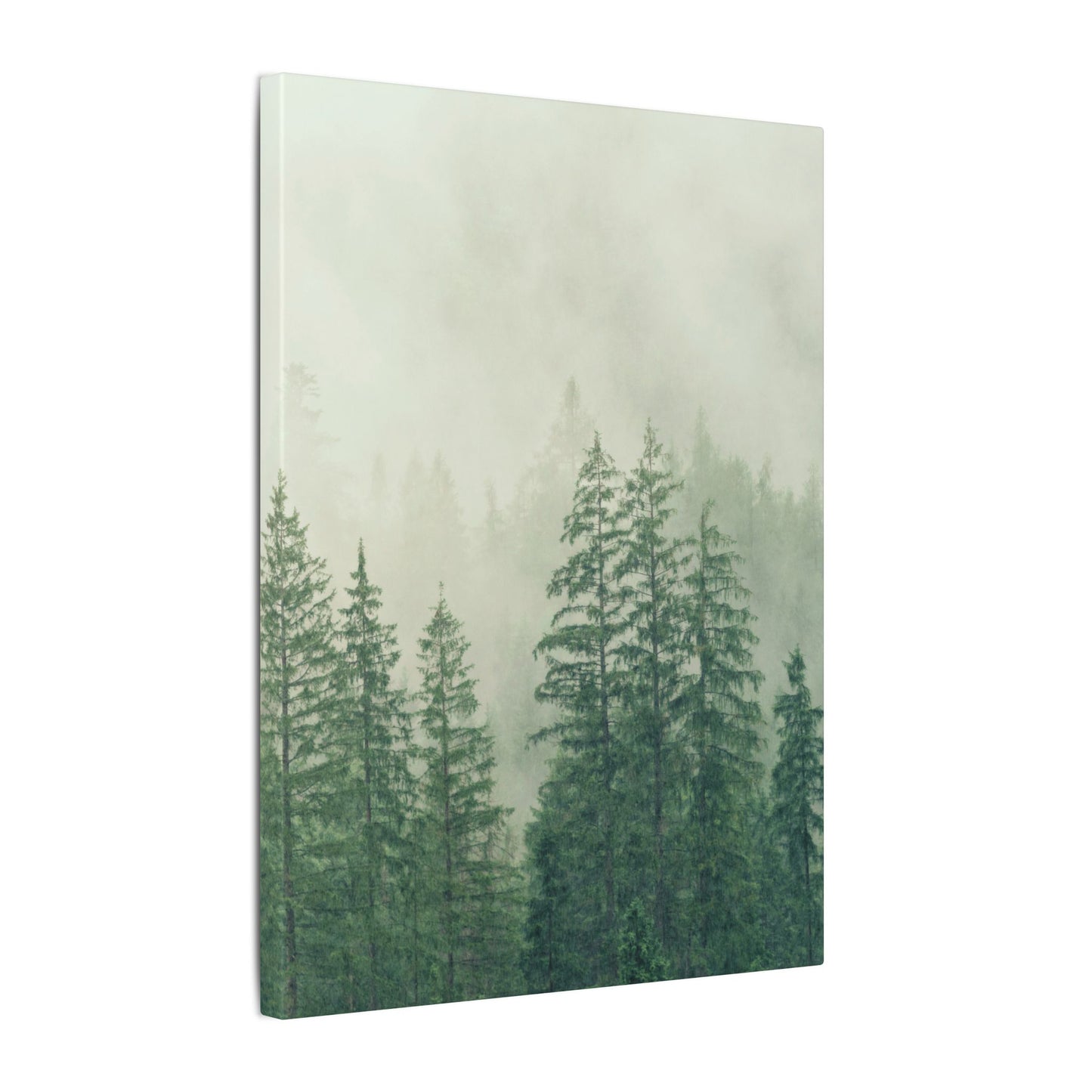 Forest Trees, Matte Canvas, Stretched, 0.75"