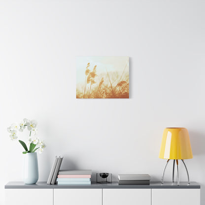 Grass, Matte Canvas, Stretched, 1.25"