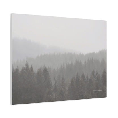 Forest, Matte Canvas, Stretched, 1.25"