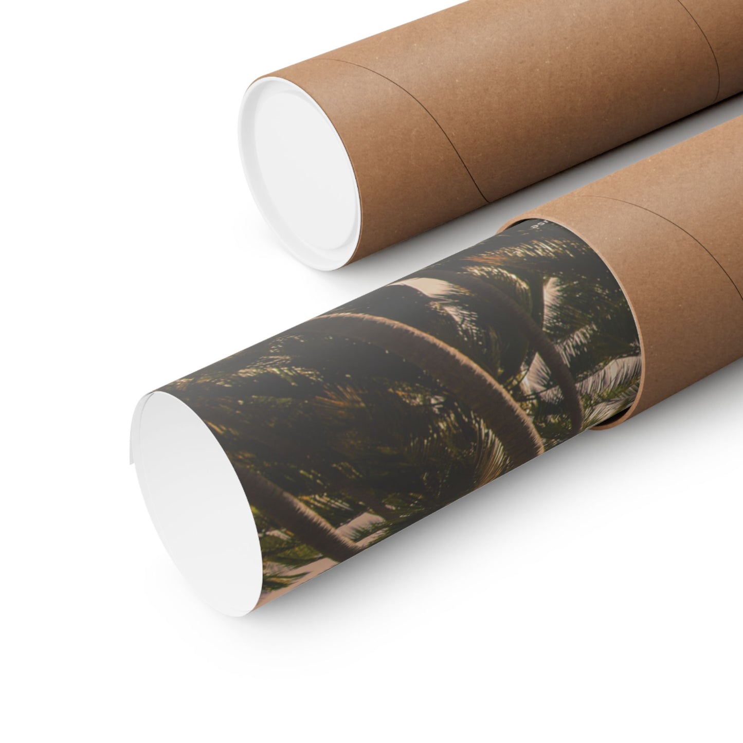Palm Trees, Matte Horizontal Poster